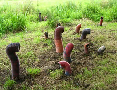 Secret paintings 3/29 Wurm - Daniela Neumann